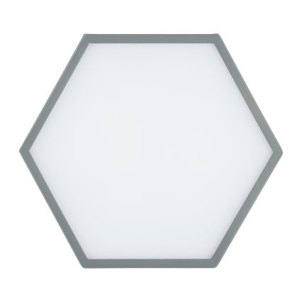 Argon 8784 - LED-Deckenleuchte LIBERO LED/12W/230V 3000K grau