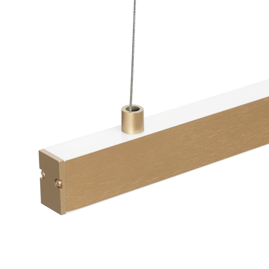 Argon 8836 - LED-Hängeleuchte MIAMI LED/37W/230V 3000K golden