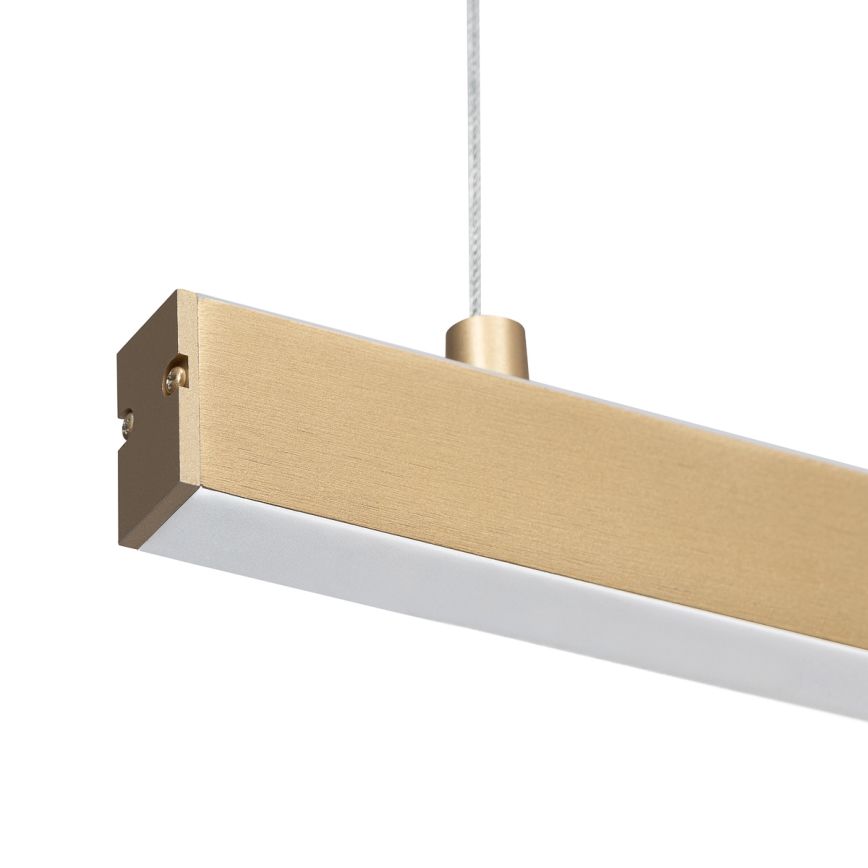 Argon 8836 - LED-Hängeleuchte MIAMI LED/37W/230V 3000K golden