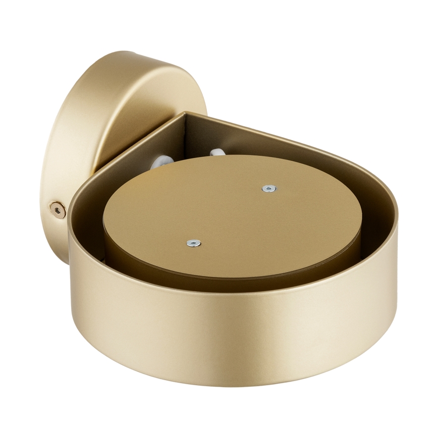 Argon 8899 - Wandleuchte LOTUS 1xGX53/12W/230V, goldfarben