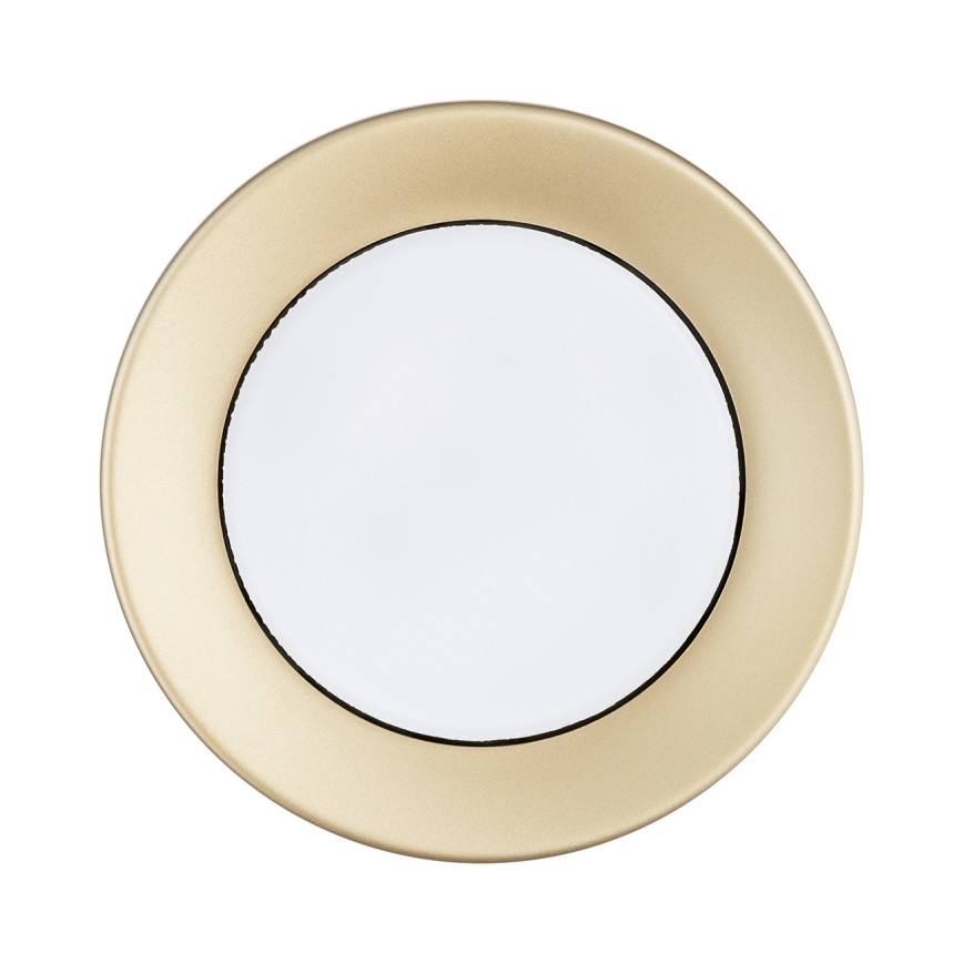 Argon 8903 - Deckenleuchte ELORA 1xGX53/7W/230V Ø 11 cm gold