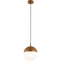 Argon 8998 - Außen-Pendelleuchte an Kabel LIV 1xE27/15W/230V IP44 braun