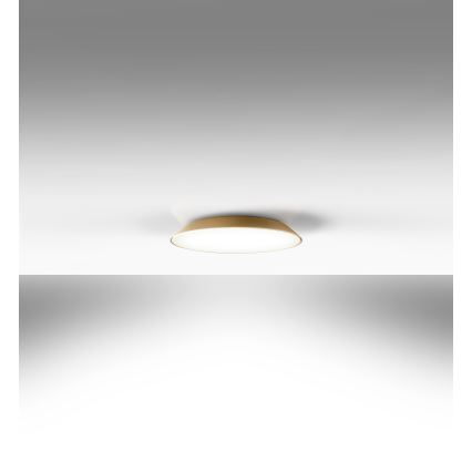 Artemide AR 0241320A - LED-Deckenleuchte FEBE 4xLED/30W/230V