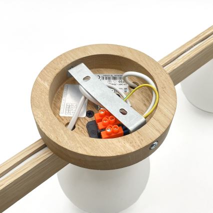 Aufgesetzte Deckenleuchte ANTONIO 3xG9/5W/230V Eiche/Weiß