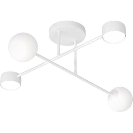 Aufgesetzte Deckenleuchte HOLON 2xG9/8W/230V + 2xGX53/12W weiß