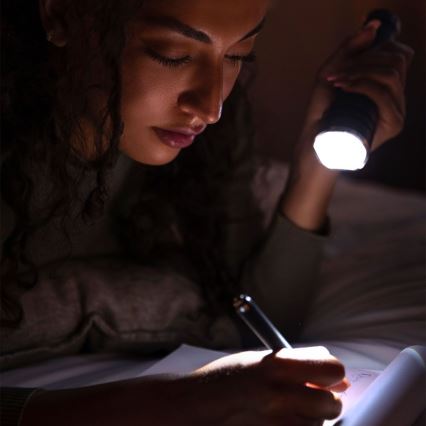 Aufladbare LED-Taschenlampe USB LED/10W/5V IP54 2000 mAh 1000 glänzend