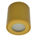 Außen-Spotleuchte FARA 1xGU10/30W/230V IP54 goldfarben
