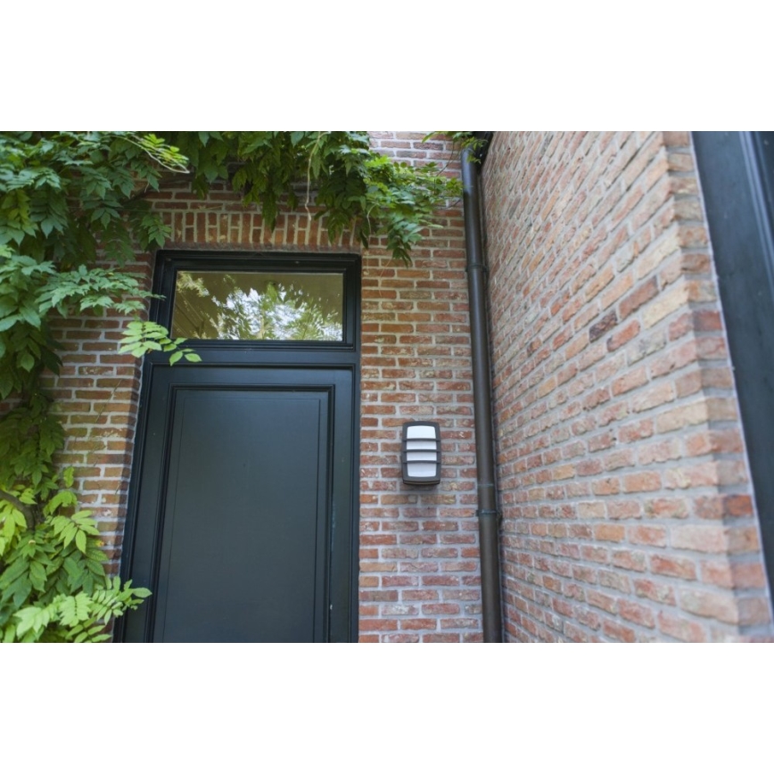 Außen-Wandleuchte 2xE27/20W/230V IP54