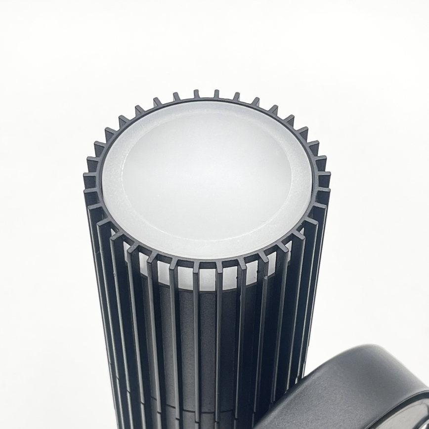 Außen-Wandspot LANTHEA 1xGU10/11W/230V IP44 schwarz