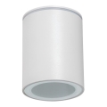 Außenstrahler AQILO 1xGU10/7W/230V IP65 weiß