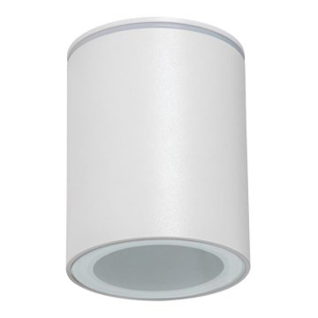 Außenstrahler AQILO 1xGU10/7W/230V IP65 weiß