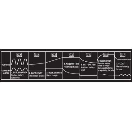 Automatisches Blei-Säure-Batterieladegerät 12/230V