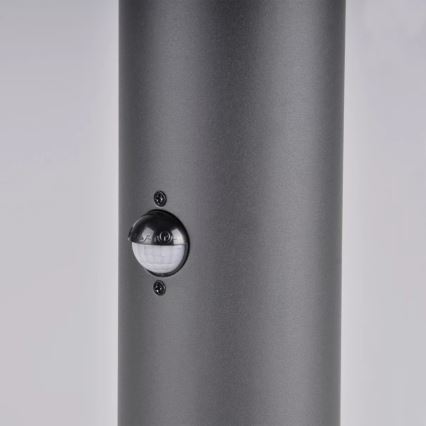 Auβenleuchte mit Sensor DALLAS 1xE27/12W/230V IP44 Graphit