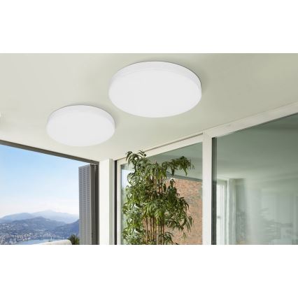 Azzardo AZ2264 - LED Deckenleuchte MONZA 1xLED/50W/230V