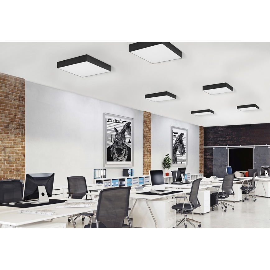 Azzardo AZ2274 - LED Deckenleuchte MONZA SQUARE 1xLED/50W/230V