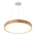 Azzardo AZ3344 - LED-Deckenleuchte an Kabel SILVAM LED/30W/230V