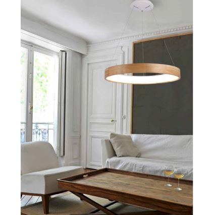 Azzardo AZ3344 - LED-Deckenleuchte an Kabel SILVAM LED/30W/230V