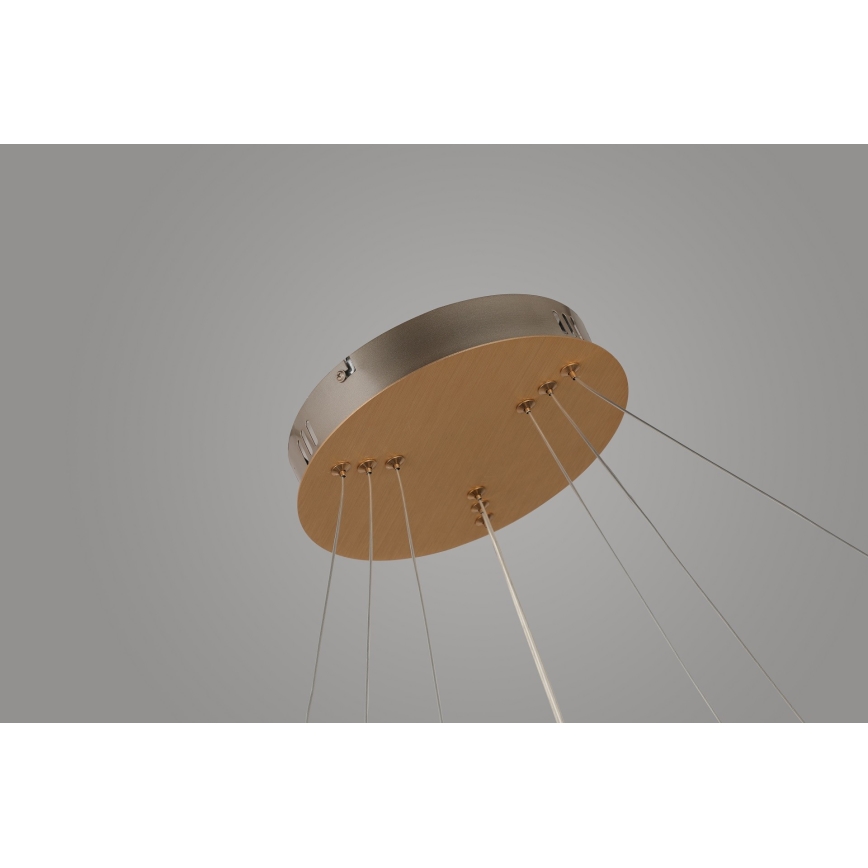 Azzardo AZ4429 - LED Hängeleuchte BRIGHTON LED/55W/230V gold