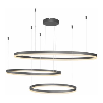 Azzardo AZ4707 - LED-Pendelleuchte HALO an Stahlseil LED/130W/230V schwarz