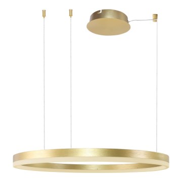 Azzardo AZ4961 - LED dimmbare Hängeleuchte an Kabel HALO LED/56W/230V Ø 80 cm gold