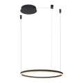 Azzardo AZ4968 - LED dimmbare Hängeleuchte an Kabel HALO LED/47W/230V Ø 60 cm schwarz