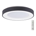 Azzardo AZ4991 - LED dimmbares Deckenleuchte SANTANA LED/50W/230V Schwarz + Fernbedienung