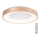 Azzardo AZ4992 - LED dimmbares Deckenleuchte SANTANA LED/50W/230V gold + Fernbedienung