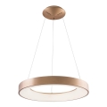Azzardo AZ5000 - LED-Hängeleuchte an Kabel SANTANA LED/30W/230V gold
