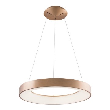 Azzardo AZ5000 - LED-Hängeleuchte an Kabel SANTANA LED/30W/230V gold