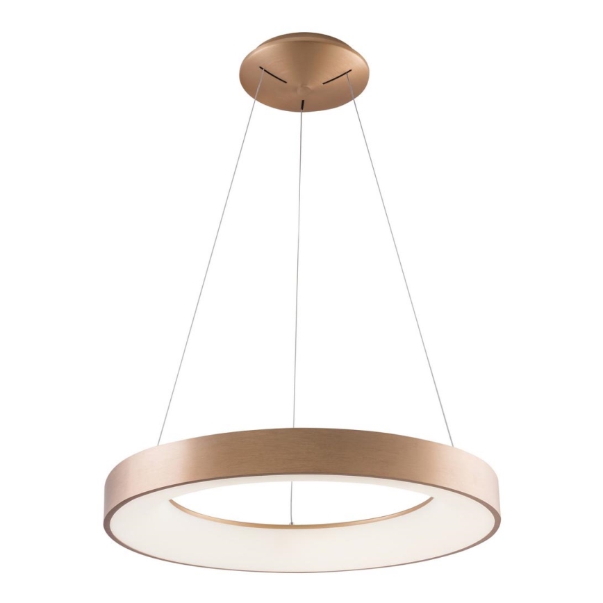 Azzardo AZ5000 - LED-Hängeleuchte an Kabel SANTANA LED/30W/230V gold