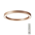 Azzardo AZ5033 - LED dimmbares Deckenleuchte MARCO LED/50W/230V gold + Fernbedienung