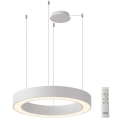 Azzardo AZ5052 - LED-dimmbare Pendelleuchte an Kabel MARCO LED/100W/230V weiß + Fernbedienung