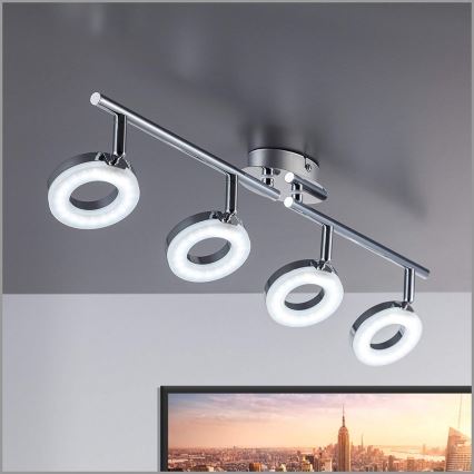 B.K. Licht 30-03-04-C - LED Spotlight DONUT 4x LED/4W/230V