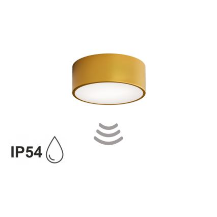 Badezimmer-Deckenleuchte CLEO mit Sensor, 1x E27, 24 W, 230 V, Ø 20 cm, IP54, goldfarben