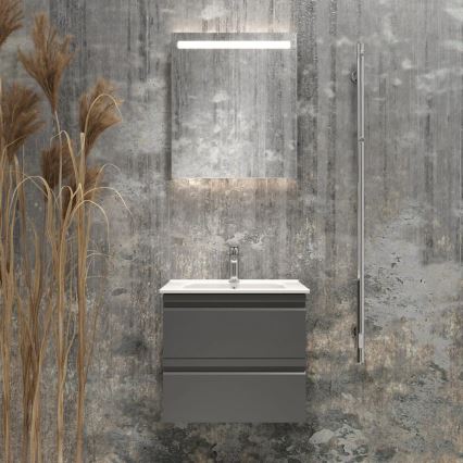 Badezimmerschrank mit Waschbecken VIGO + LED-Wandspiegel mit Hintergrundbeleuchtung LED/10W/230V IP44 grau