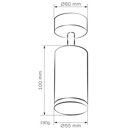 Badezimmerstrahler TURYN 1xGU10/10W/230V IP44 weiß