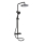 BATH DELUXE 31-120-07-02-00 - Duschgarnitur mit Thermostatarmatur DRAGOR matt schwarz
