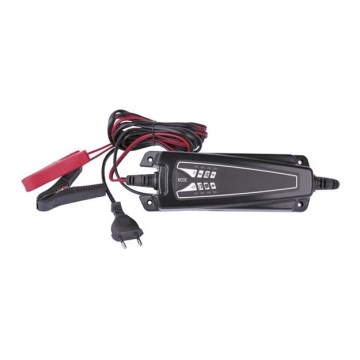 Batterieladegerät 4A/230V IP65