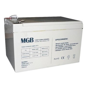 Blei-Säure-Batterie VRLA AGM 12V/12Ah