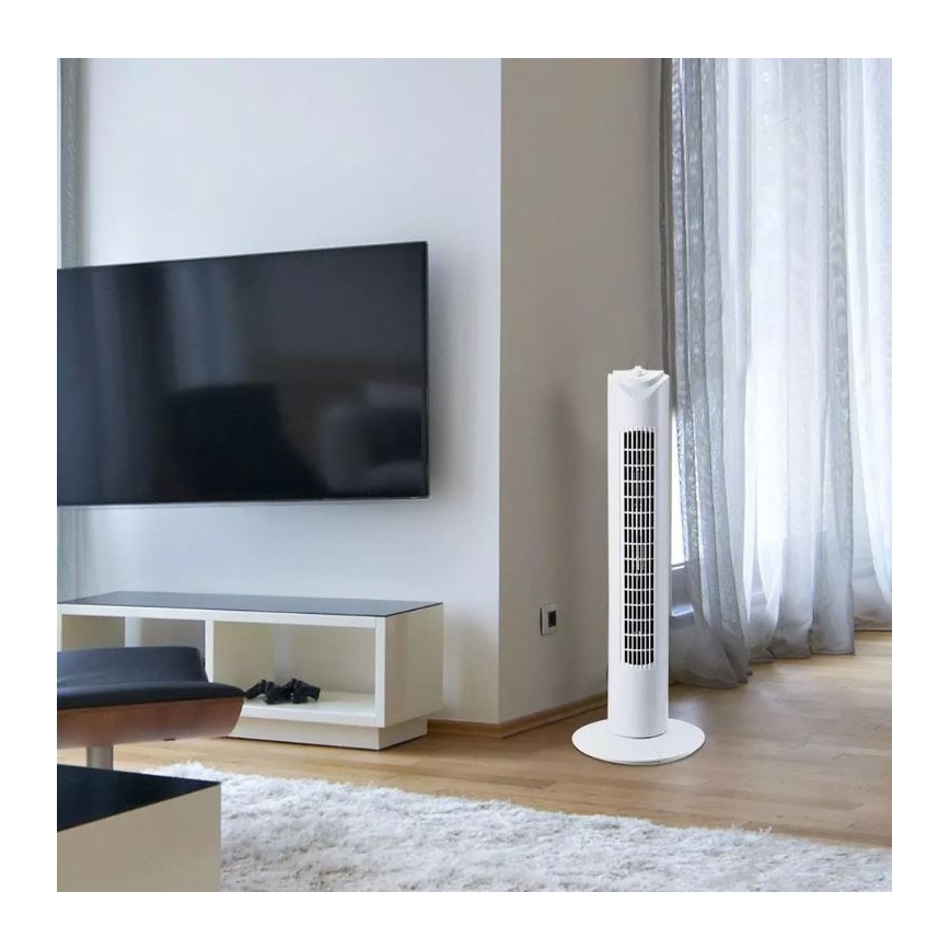 Bodenventilator mit Zeitschaltuhr 45W weiß