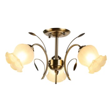Brilagi - Aufbauleuchte FLORA 3xE27/60W/230V bronzen