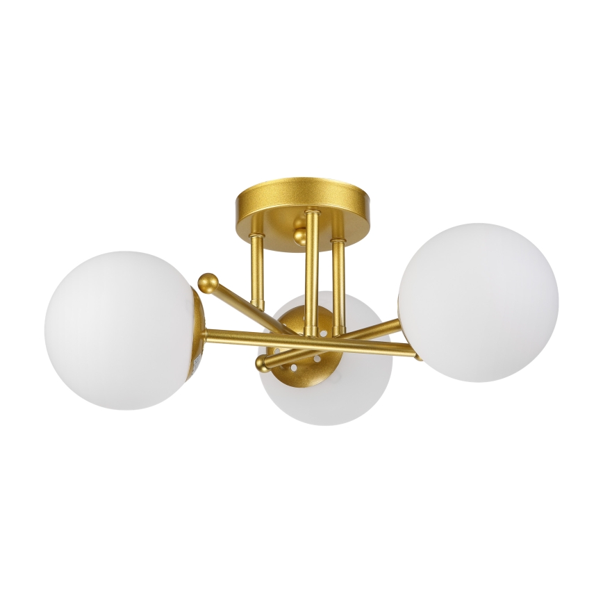 Brilagi - Aufbauleuchte MALIVA 3xE14/15W/230V gold/weiß