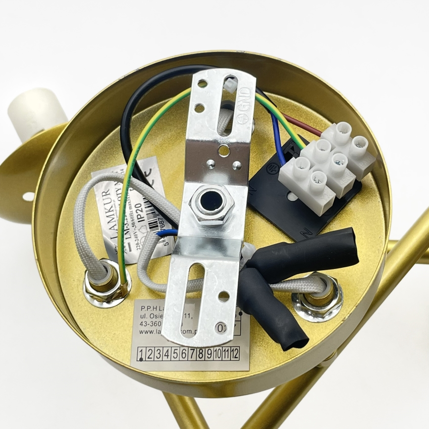 Brilagi - Aufbauleuchte MALIVA 3xE14/15W/230V gold/weiß