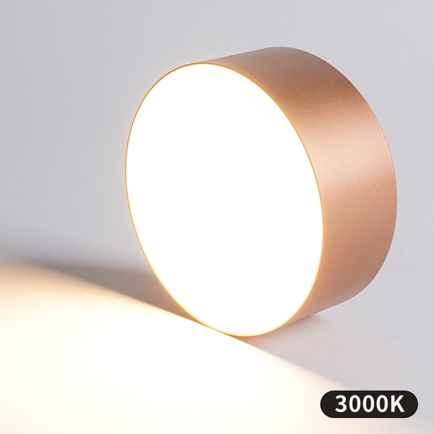 BRILAGI - Außen-Deckenleuchte FORIS LED/20W/230V Ø 15 cm bronzefarben IP44