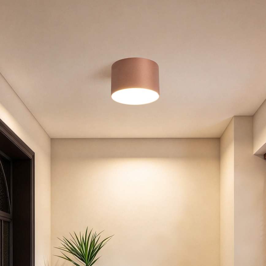 BRILAGI - Außen-Deckenleuchte FORIS LED/9W/230V Ø 9 cm bronzefarben IP44