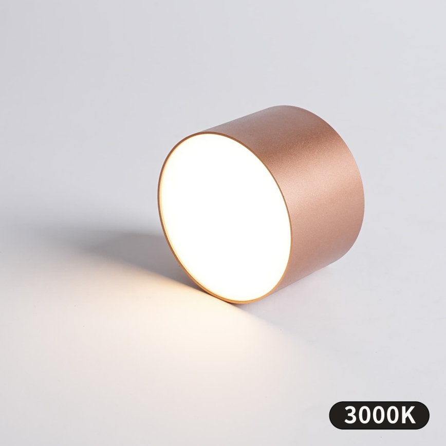 BRILAGI - Außen-Deckenleuchte FORIS LED/9W/230V Ø 9 cm bronzefarben IP44
