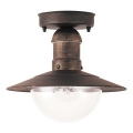 Brilagi - Außen-Deckenleuchte MOLDE 1xE27/60W IP44 Bronze/Patina