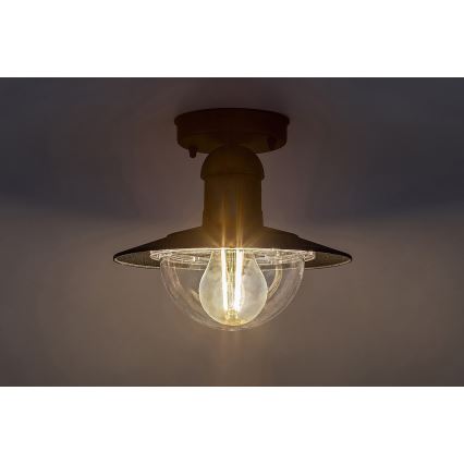 Brilagi - Außen-Deckenleuchte MOLDE 1xE27/60W IP44 schwarz