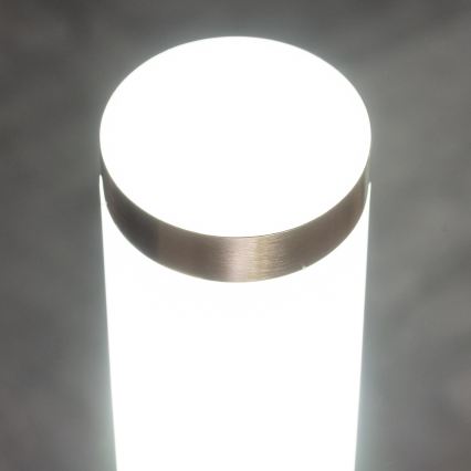 BRILAGI - Außenleuchte ELIA 1xE27/20W/230V IP44 100 cm matt-chrom