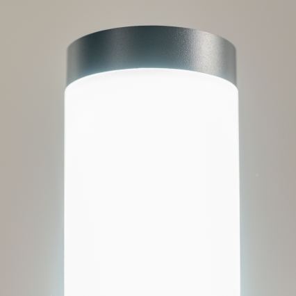 BRILAGI - Außenleuchte ELIA 1xE27/20W/230V IP44 50 cm anthrazit